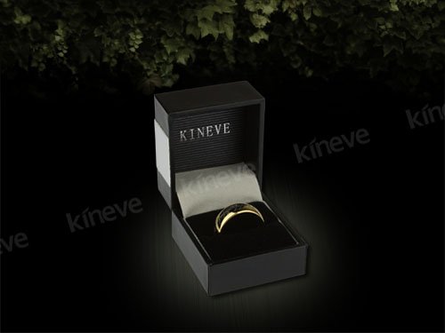 One Ring Gold-Plated_04.jpg