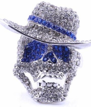 Silver & Blue With Diamond Skull Shape Acrylic Jewelry