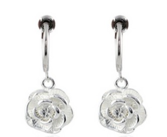 Fine Earring / Zircon Jewelry